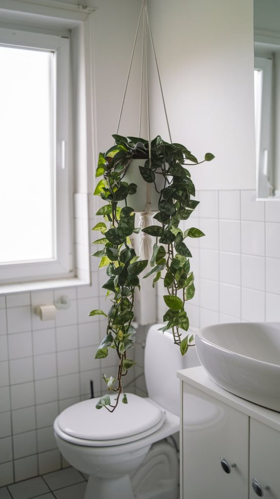Bathroom Plants that Thrive with Moisture – Gardening Olivia