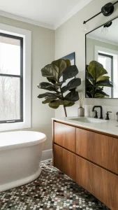 fiddle leaf plant