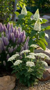 Drought Tolerant Garden