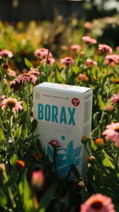 borax gardening tips