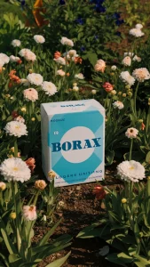 borax gardening tips