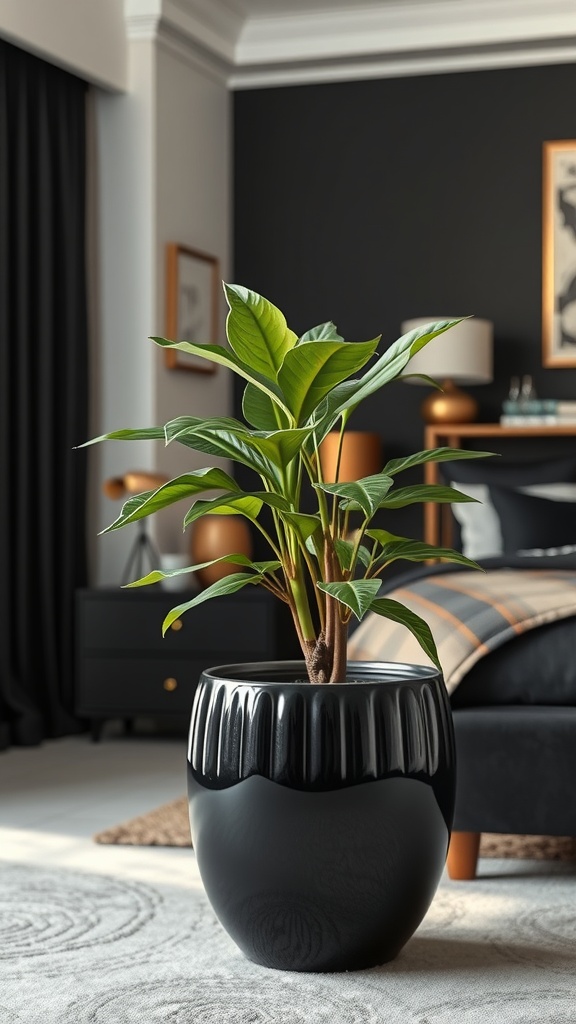 A potted plant in a stylish black pot, adding a touch of nature to a cozy black and gold bedroom.