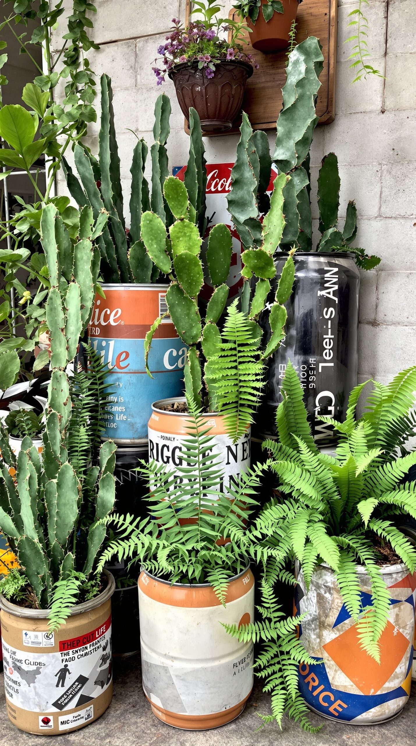 A collection of cacti and ferns planted in recycled containers, showcasing a mix of textures and colors.