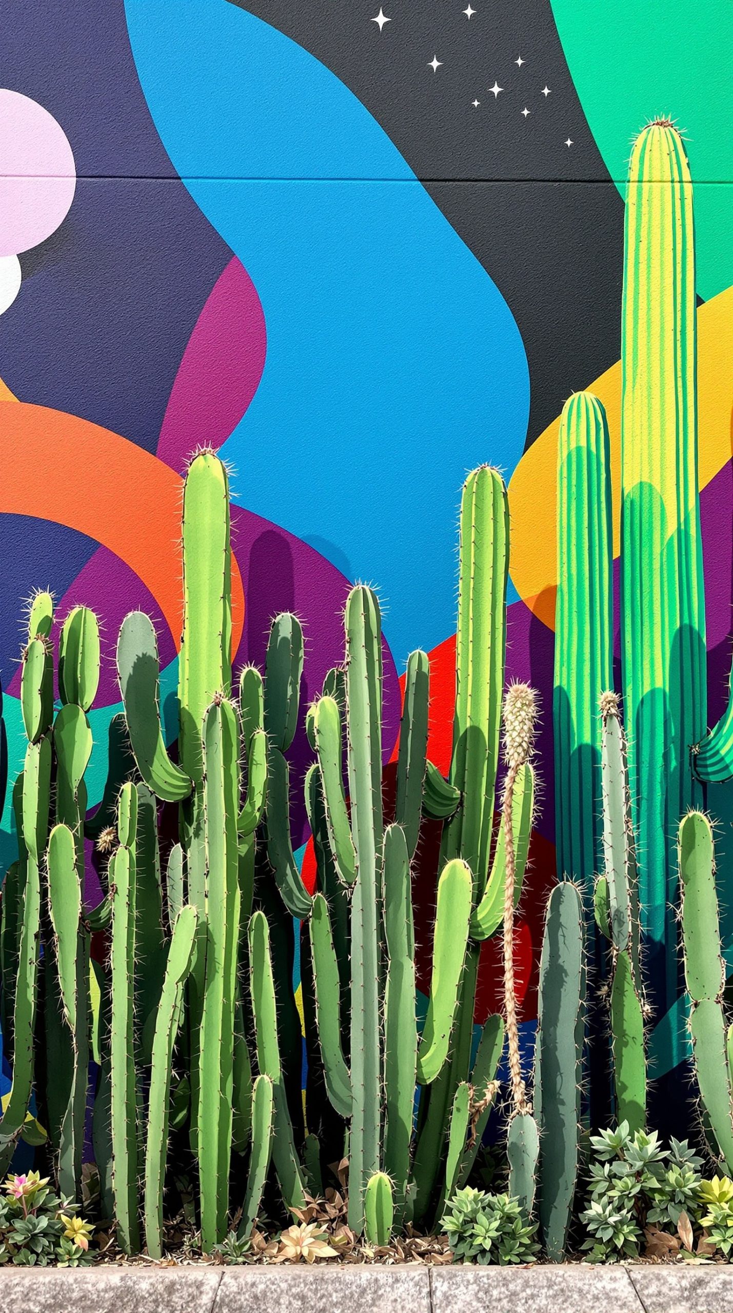 A vibrant cacti wall with colorful artistic background featuring tall cacti and a mural of swirling colors.