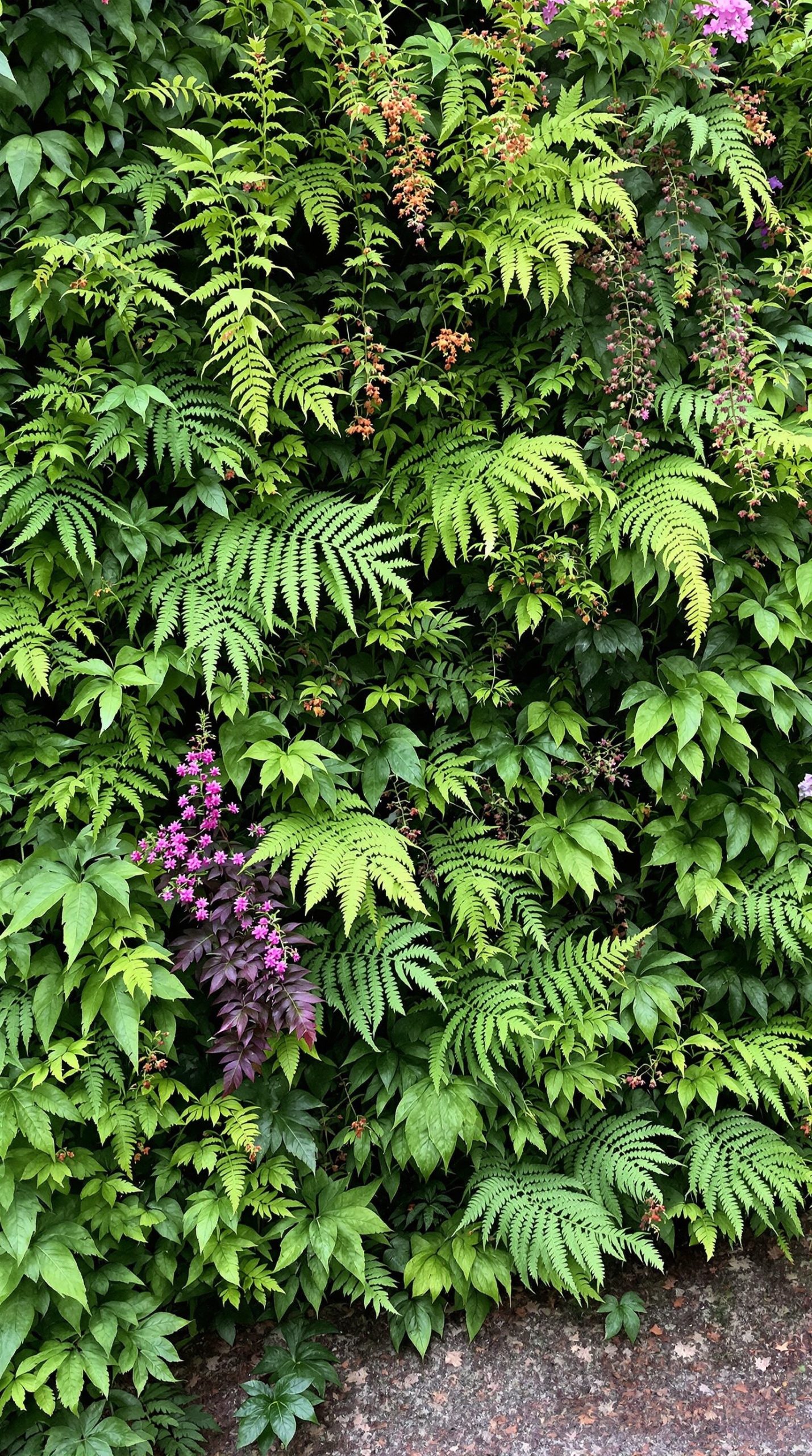A vibrant living wall filled with various ferns and seasonal plants, showcasing a mix of green foliage and colorful flowers.